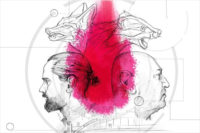 Rafał Dziemidok, Kacper Lipiński, Galerie Nord | Kunstverein Tiergarten