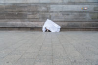 Chryssa Tsampazi, Galerie Nord | Kunstverein Tiergarten