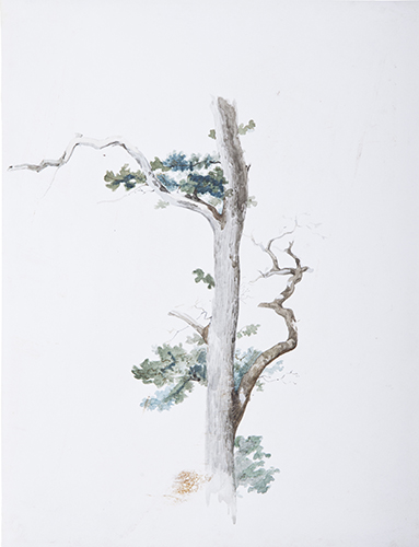 Carl Blechen
