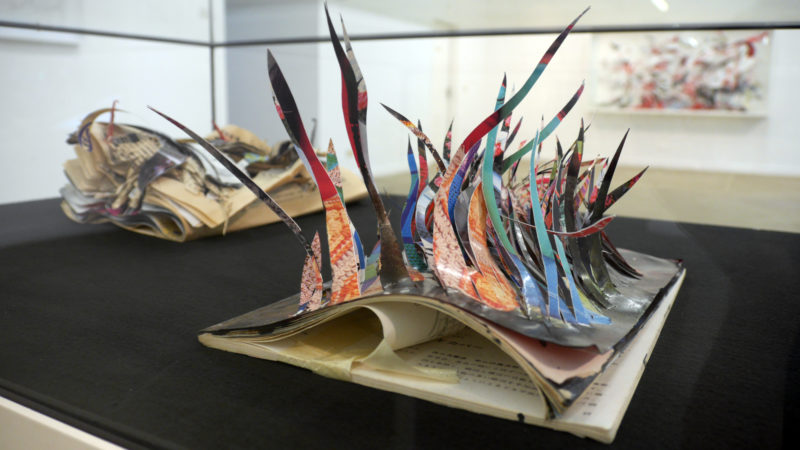 Nadja Schöllhammer, Wandler